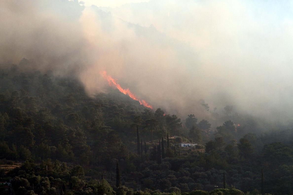 Καίγεται δάσος και στη Θεσπρωτία