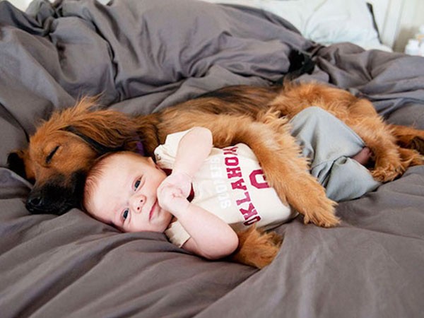Η μοναδική σχέση παιδιού και σκύλου