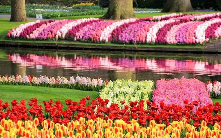 Ο εκπληκτικός λουλουδόκηπος της Ολλανδίας