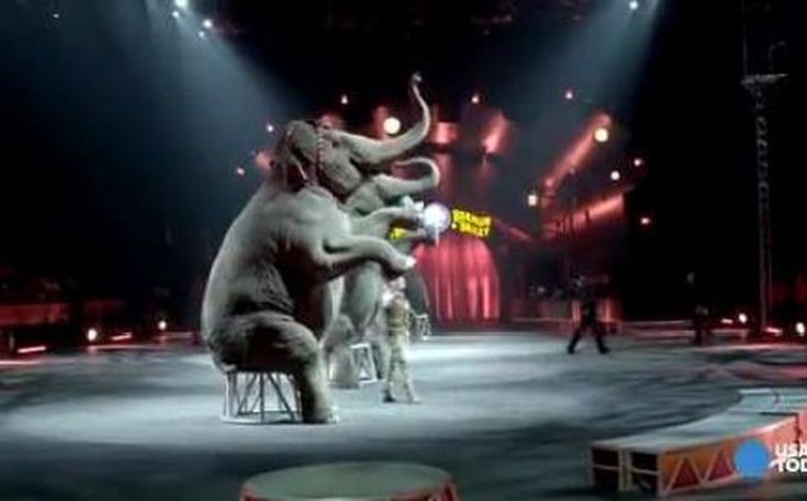 Τέλος οι ελέφαντες από μεγάλο τσίρκο των ΗΠΑ