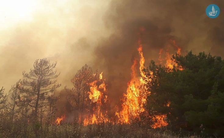 Μεγάλες οι καταστροφές από την πυρκαγιά στη νότια Ρόδο