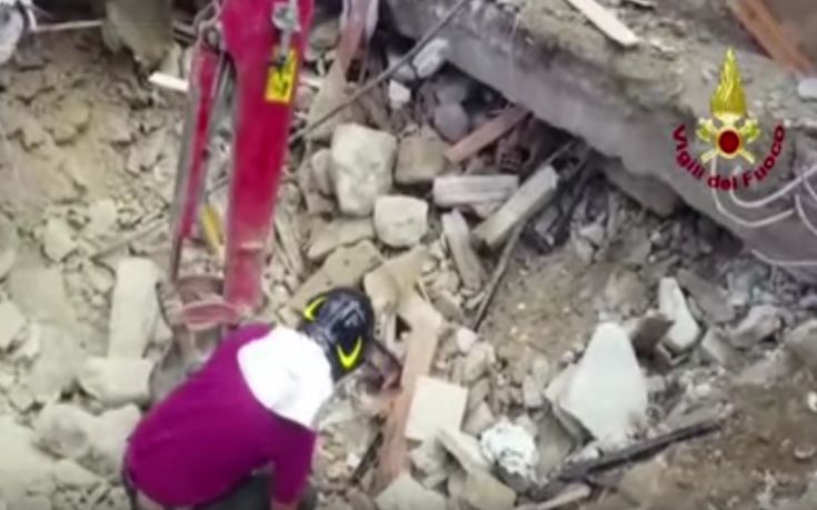 Γάτα ανασύρθηκε ζωντανή 15 μέρες μετά τον σεισμό στην Ιταλία