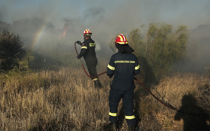 Χίλια στρέμματα έκαψε η πυρκαγιά στη Χαλκιδική