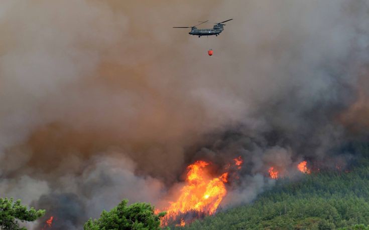 Νέα πυρκαγιά εκδηλώθηκε σε δάσος στο χωριό Καλαμάκι Ζακύνθου