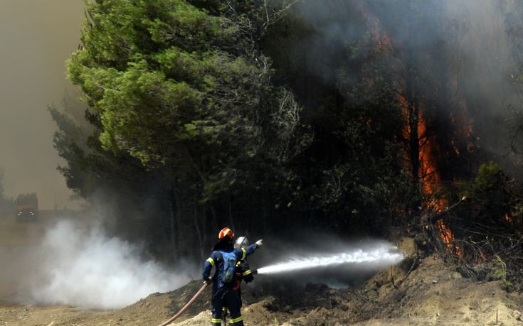 Πέρασε ο κίνδυνος της πυρκαγιάς για το χωριό Ροδινά στην Ηλεία