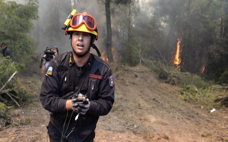 Πυροσβέστης σώζει ένα κοτσύφι από την πύρινη λαίλαπα