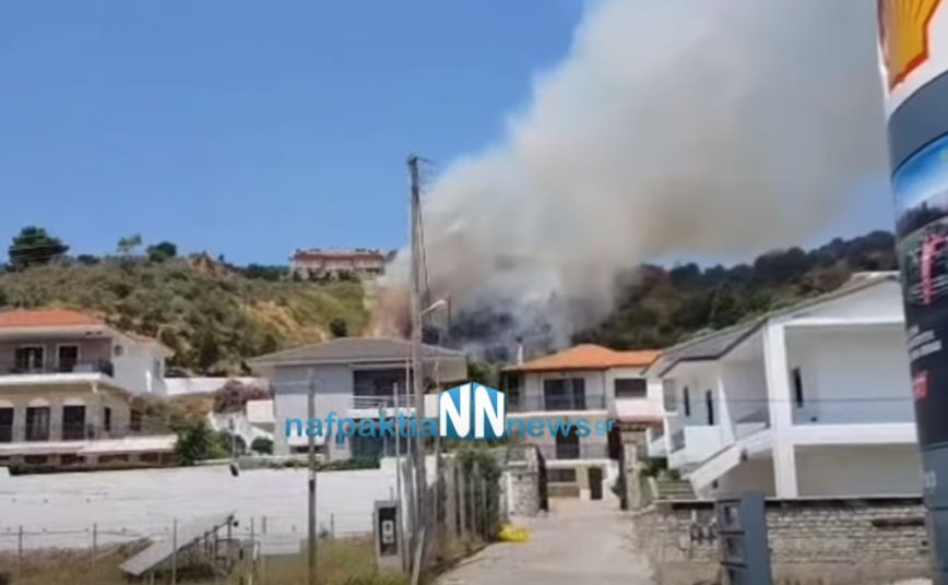 Φωτιά τώρα στον Πλατανίτη Ναυπακτίας &#8211; Απειλούνται σπίτια