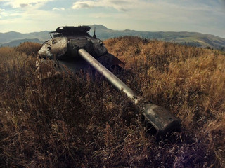 tanks_taken_nature_24