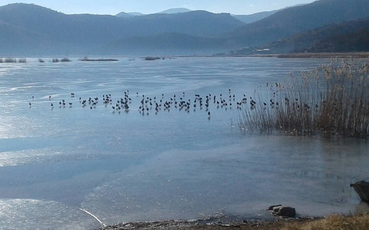 Πάγωσαν οι λίμνες Καστοριάς και Χειμαδίτιδας