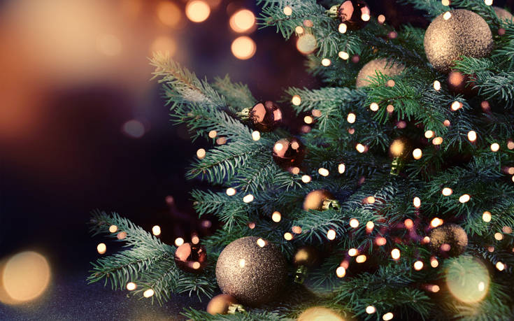 Ανακύκλωση χριστουγεννιάτικων δέντρων στο Ηράκλειο