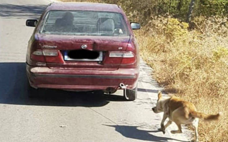 Έπιασαν τον 73χρονο που είχε δέσει σκύλο στο αμάξι και το έσερνε