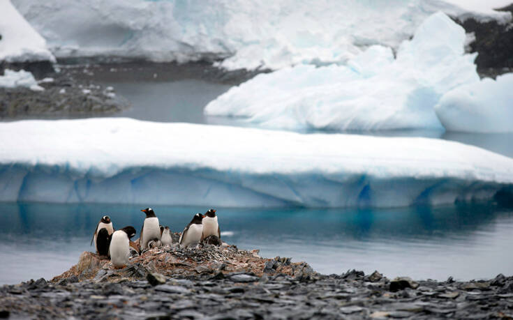 Συναυλία για πιγκουίνους και φώκιες στην Ανταρκτική από δύο Βούλγαρους μουσικούς