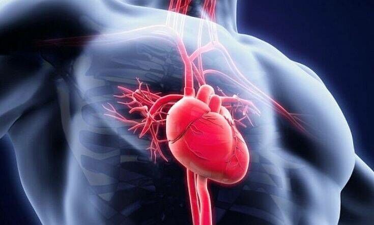 Κορονοϊός: Μπορεί να προκαλέσει καρδιακή βλάβη ακόμη και σε ασθενείς με υγιή καρδιά