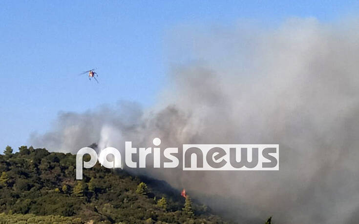 Απειλούνται σπίτια από τη φωτιά στην Ηλεία - Ζητήθηκε εκκένωση